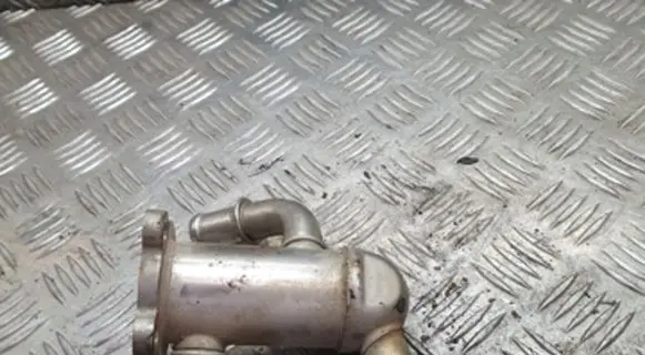 EGR valve cooler