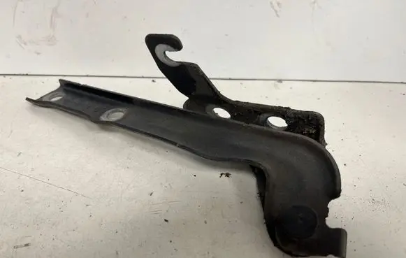 Volkswagen Tiguan Engine bonnet/hood hinges 5N0823301A