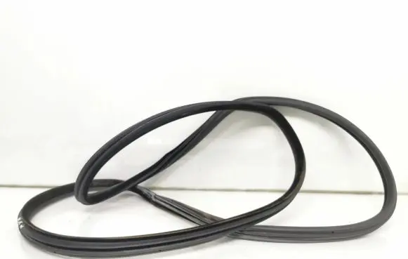 BMW X5 E53 Rubber seal rear door 387117