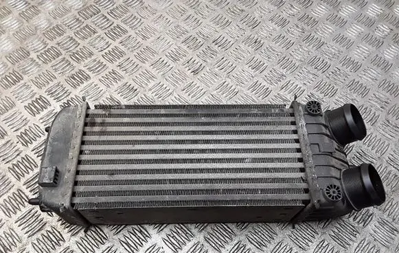 Peugeot 207 Intercooler radiator 9651280680