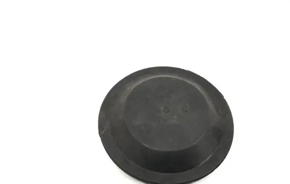 Skoda Roomster (5J) Headlight/headlamp dust cover 155665