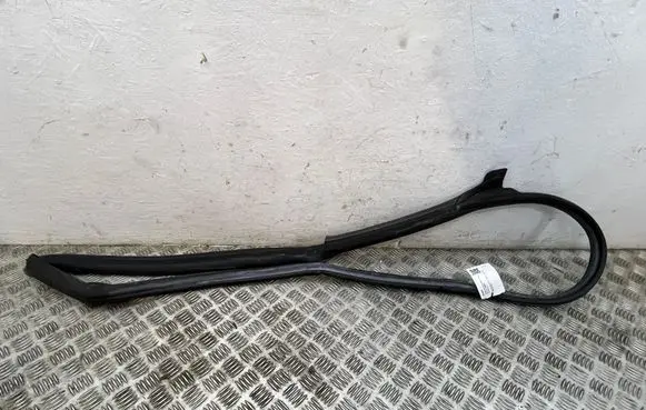 Tesla Model 3 Front door rubber seal 1090499