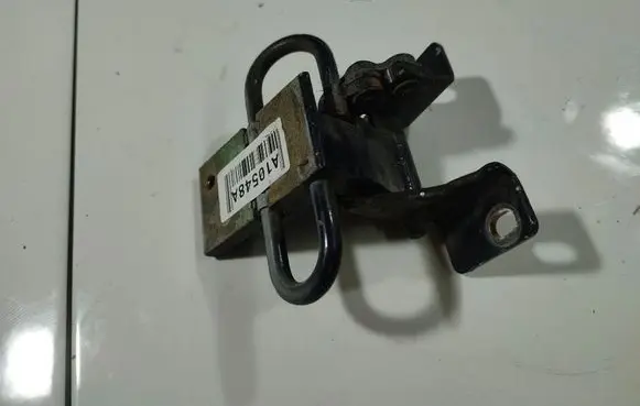 Rear door lower hinge