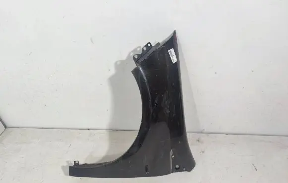 Fiat Bravo Fender