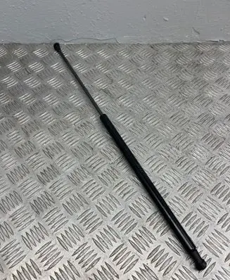 Nissan Juke I F15 Tailgate/trunk strut/damper 904501KA1B