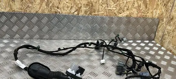 Front door wiring loom