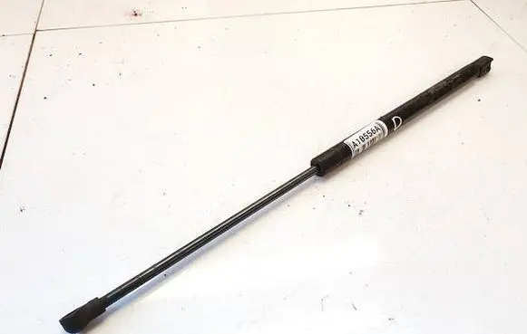 Tailgate/trunk strut/damper