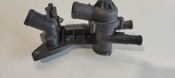 Thermostat/thermostat housing