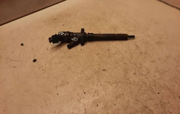 Citroen C5 Fuel injector 0445110036
