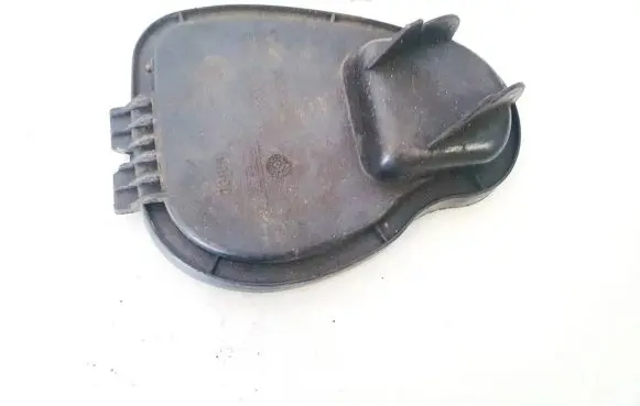 Headlight/headlamp dust cover