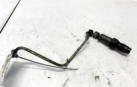 Citroen Berlingo Fuel injector lcr6736001