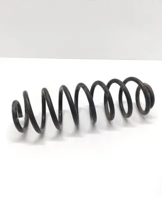 Ford Ecosport Rear coil spring