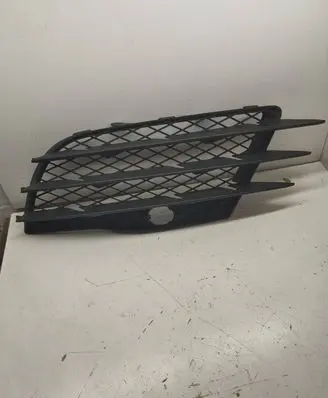 Audi R8 42 Front bumper lower grill 420807681 06429000