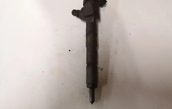 Opel Signum Fuel injector 0445110243