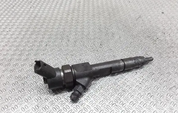 Renault Megane II Fuel injector 0445110110B