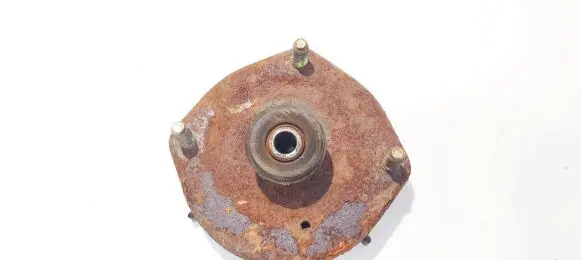 Coil spring mount