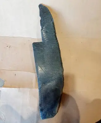 Ford Focus ST Fender foam support/seal 4M51A16E561AC