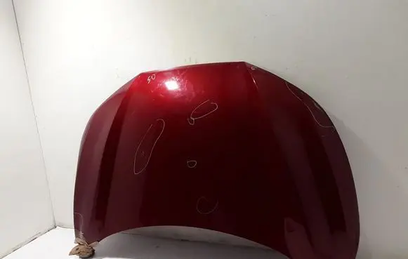 Engine bonnet/hood