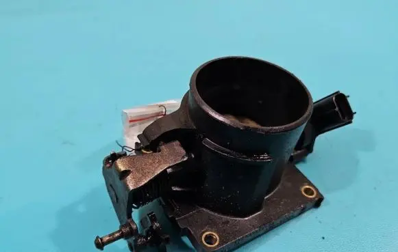 Throttle body valve