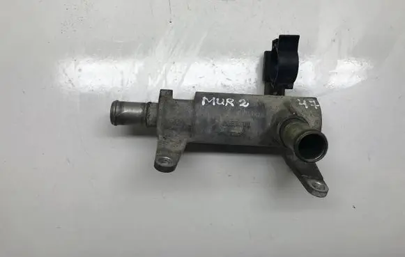 Thermostat/thermostat housing