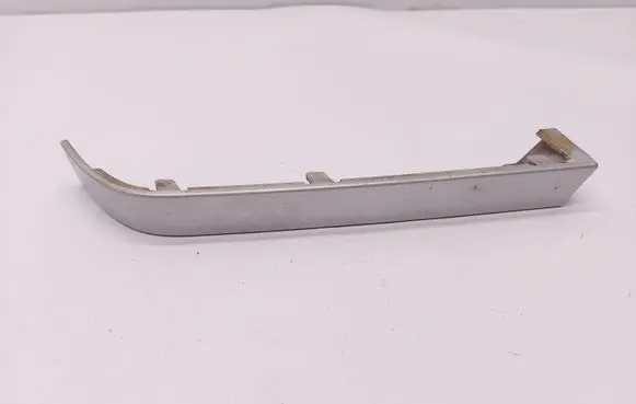 Rear/tail light trim molding