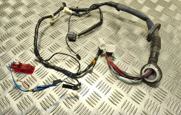 Front door wiring loom