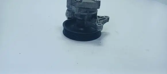 Mercedes-Benz E W212 Power steering pump A0064666501