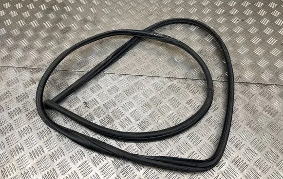 Toyota RAV 4 (XA40) Rear door rubber seal (on body) 