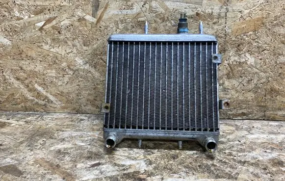Mercedes-Benz S AMG W220 Engine oil radiator A1405000400