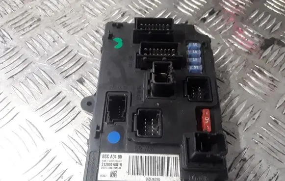 Peugeot 407 Fuse module S120017001H