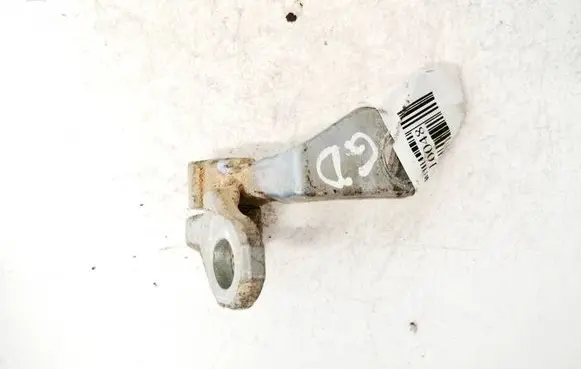 Ford C-MAX I Rear door lower hinge
