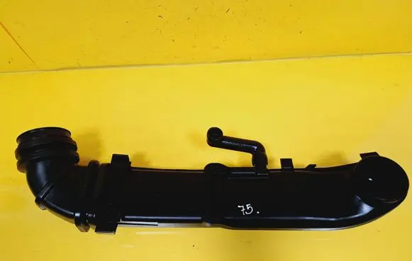 Mercedes-Benz C W202 Air intake hose/pipe A1111402212
