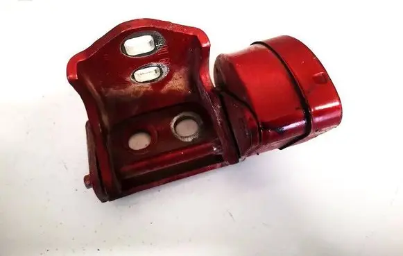 Rear door lower hinge