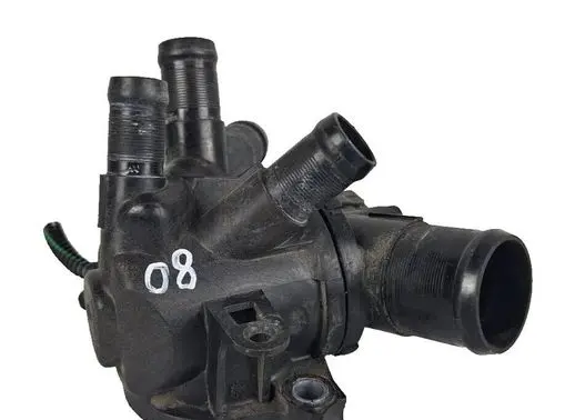 Nissan Juke I F15 Thermostat 110617089R
