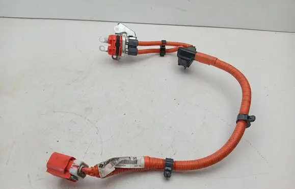 Lexus RX 450H Other wiring loom 8281548470 821H248010
