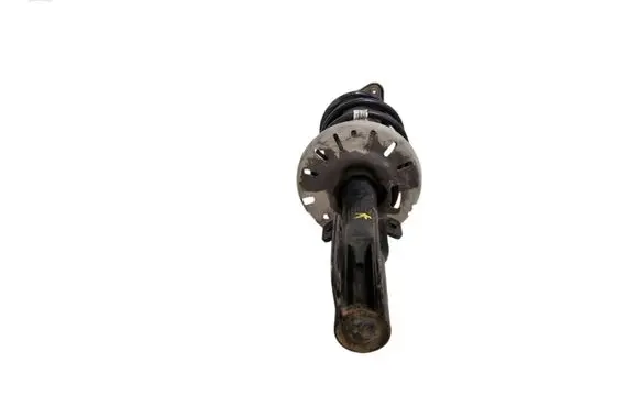 Front shock absorber with coil spring