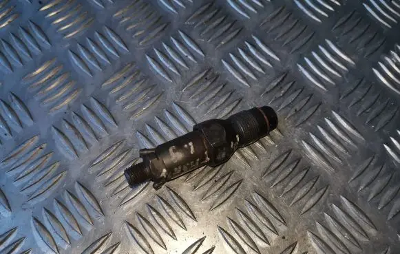 Citroen Berlingo Fuel injector LCR6736001