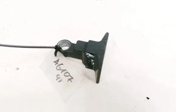 Rear door lower hinge