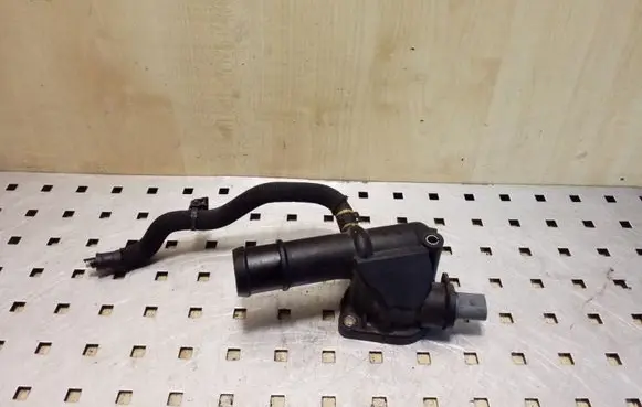 Thermostat/thermostat housing