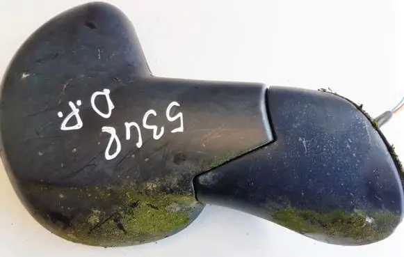 Fiat Multipla Front door electric wing mirror