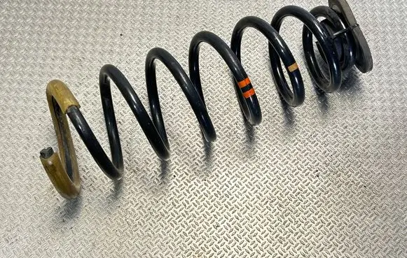 Rear coil spring
