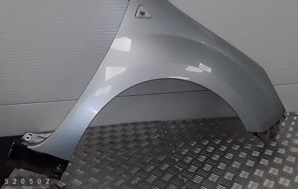 Renault Kangoo II Fender 