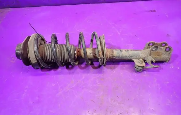 Chevrolet Nubira Rear shock absorber with coil spring 