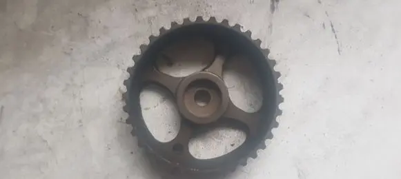 Renault Scenic I Camshaft pulley/ VANOS 106208