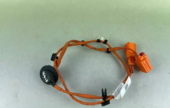 Volkswagen ID.4 Other wiring loom 1EA971475F