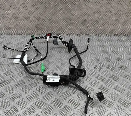 Rear door wiring loom