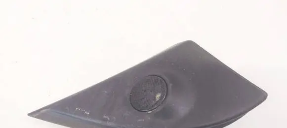Side speaker trim/cover