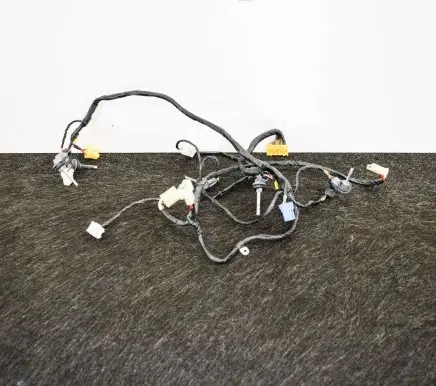 Tesla Model X Other wiring loom