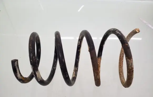 Rear coil spring