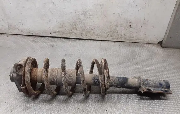 Fiat Ducato Front shock absorber with coil spring